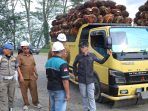 IMG-20260714-WA0218