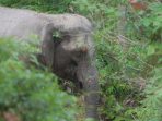 IMG-20260926-WA0002