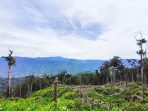 IMG_20260902_105523